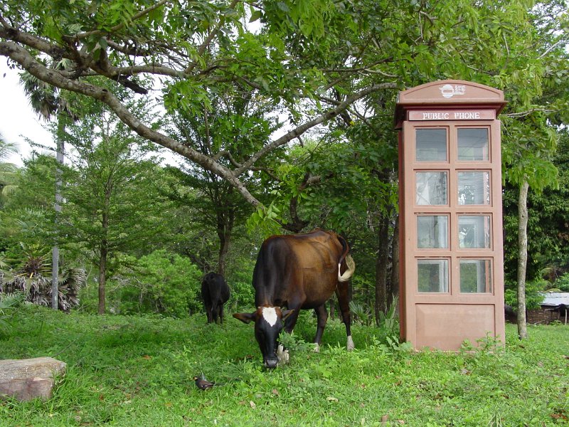 lk_236_anuradhapura_telefooncel_A.JPG