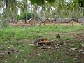 lk_164_trincomalee_A