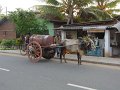 lk_414_negombo_petroleumwagen_A