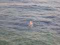 eg_100_sharm_el_sheikh_reef_beach_A