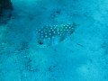 eg_053_taba_A