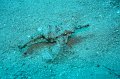 eg_074a_taba