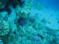 eg_075_taba_A