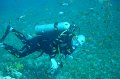 eg_081a_taba_stefan