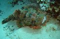 eg_087a_taba