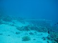 eg_096_taba_A