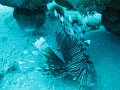 eg_119_taba_A