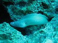 eg_120_taba_A