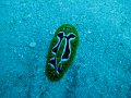 eg_122_taba_A