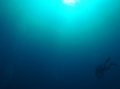 eg_137b_taba