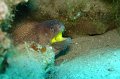 eg_140a_taba