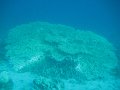 eg_147_taba_A