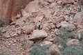 eg_181_petra_A