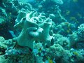 eg_221_taba_A