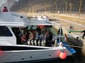 eg_240_taba_A