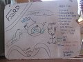 eg_243_taba_A