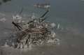 eg_245b_israel