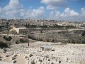 eg_248_israel_A