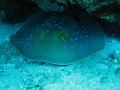 eg_291_taba_A