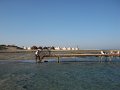 eg_031_marsa_shagra_resort_A