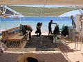 eg_043_sharm_el_sheikh_shark's_bay