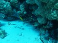 eg_044_hurghada_abu_ramada_eiland_A