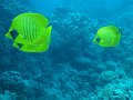 eg_065_hurghada_abu_ramada_eiland_A