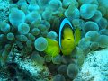 eg_082_hurghada_abu_ramada_eiland_A