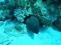 eg_095_hurghada_gota_abu_ramada_A