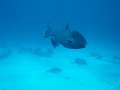 eg_109_hurghada_gota_abu_ramada_A