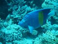 eg_117_hurghada_gota_abu_ramada_A