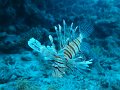 eg_120_hurghada_gota_abu_ramada_A