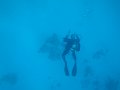 eg_141_hurghada_malag_disha_A