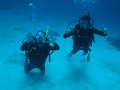 eg_146_hurghada_malag_disha_A