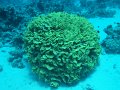 eg_204_hurghada_shaab_el_arc_A