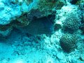 eg_207_hurghada_shaab_el_arc_A