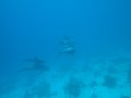 eg_214_hurghada_gotha_el_arc_A