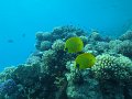 eg_248_hurghada_ereck_falata_A