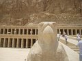 eg_261_luxor_tempel_hatshepsut_A