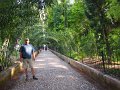 es_128_2012_granada_la_alhambra_A