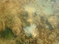 nl_2013_020_tholen_bergse_diepsluis_A